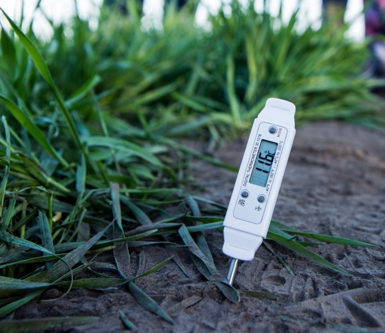 Методы измерения температуры почвы