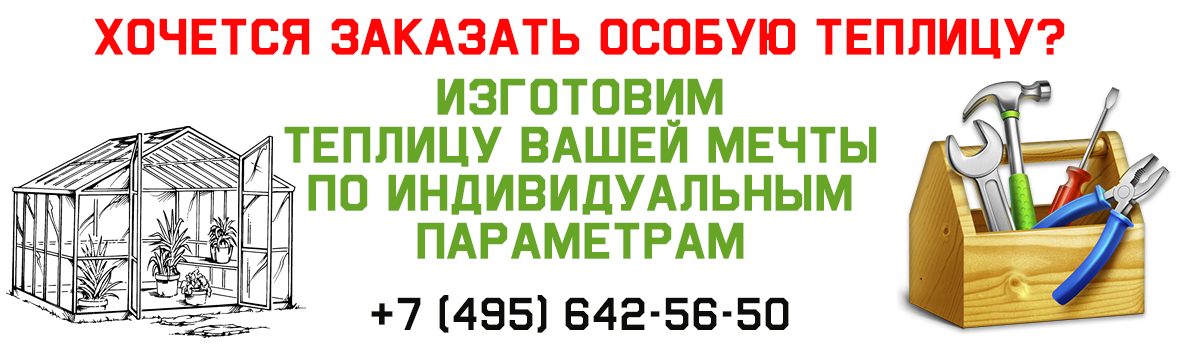 Заказать теплицу по индивидуальному заказу в Казани и Татарстане